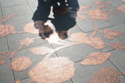 EXD'08/Amsterdam